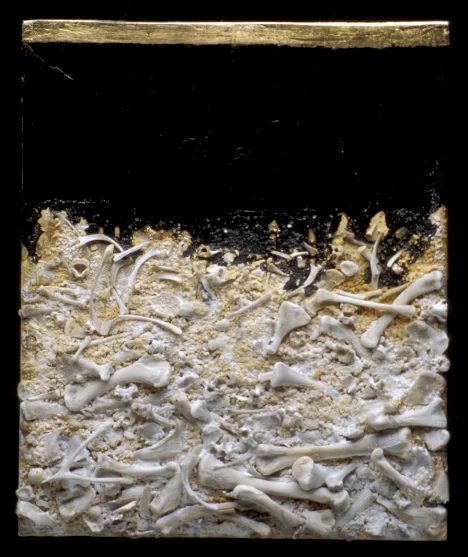 Untitled1.jpg