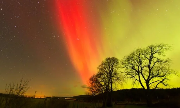 A good year for lights