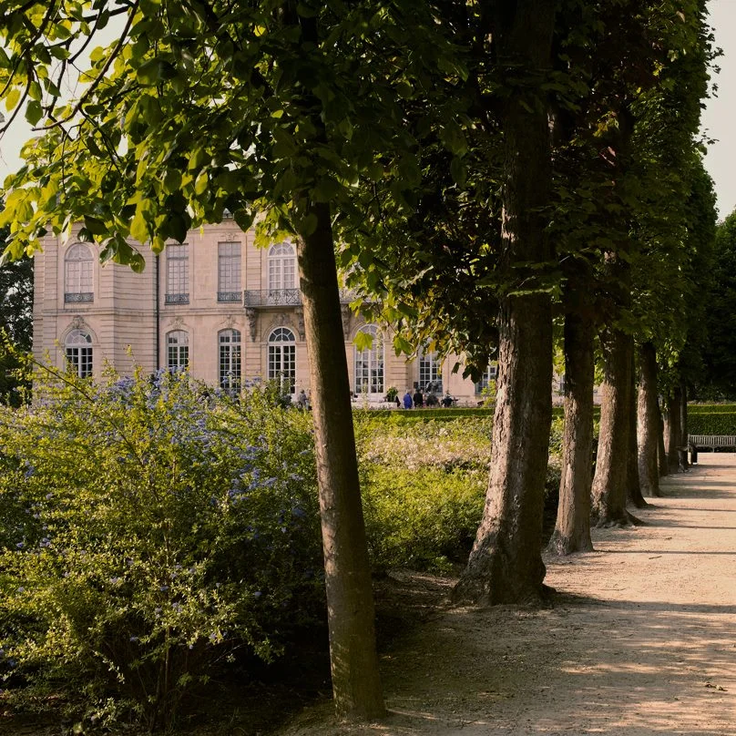 A Journey of the Mind