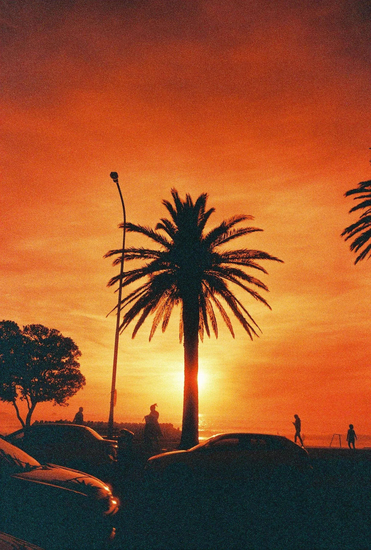 000012 copy.jpg