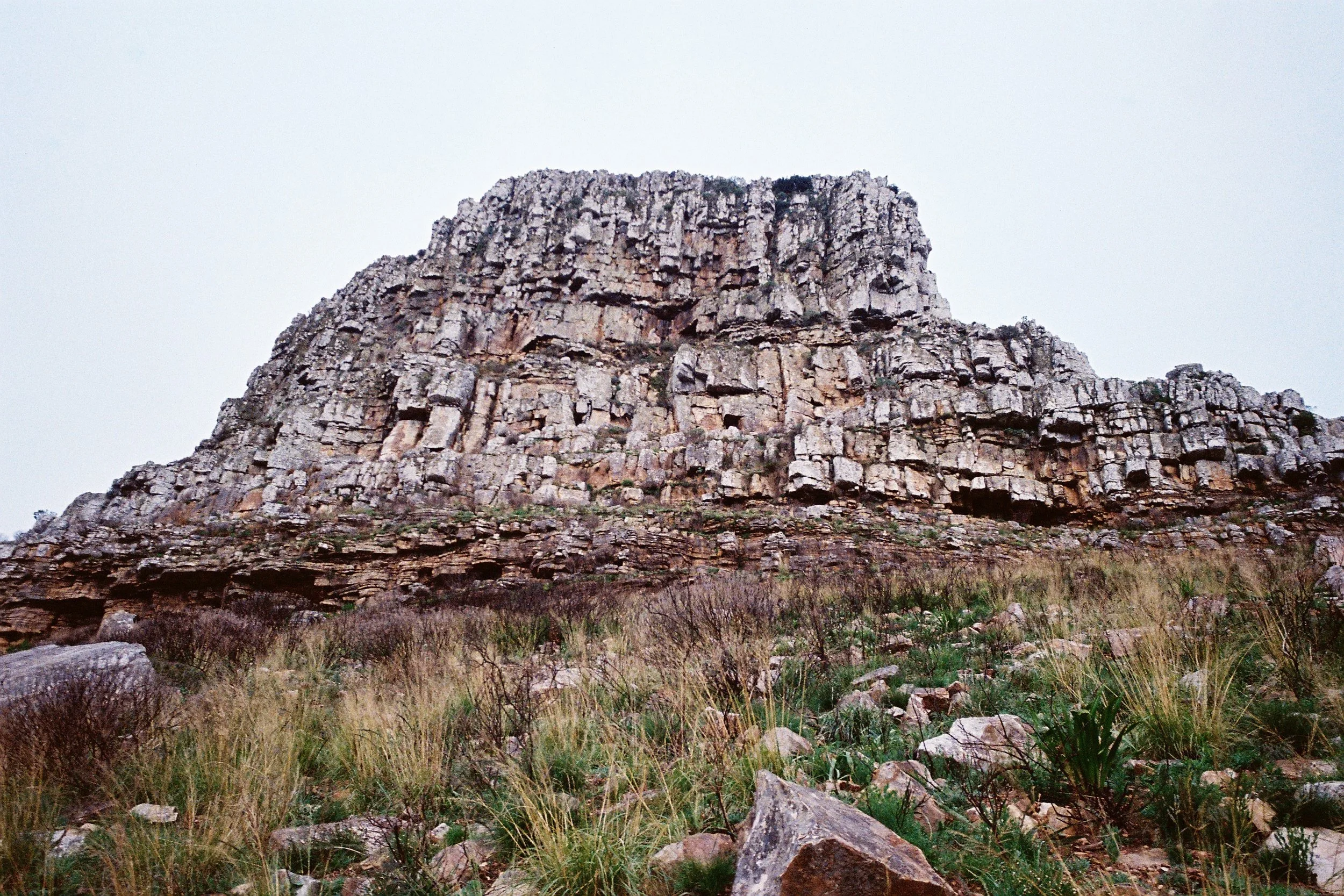 F1040004.jpg