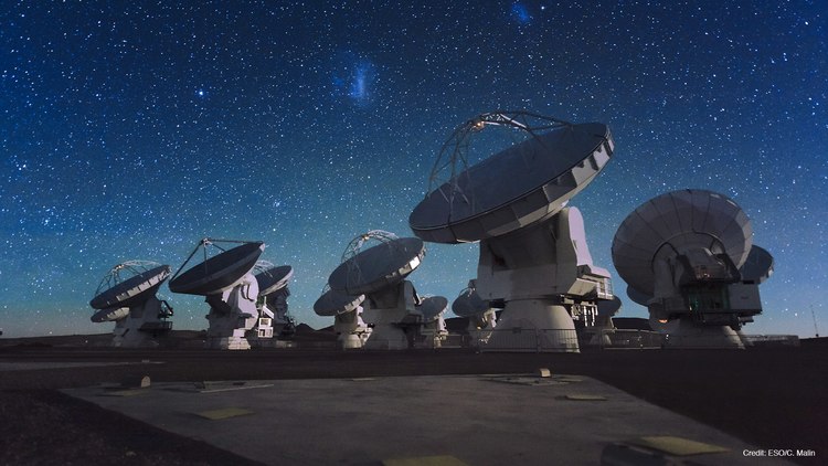 alma_img7.jpg