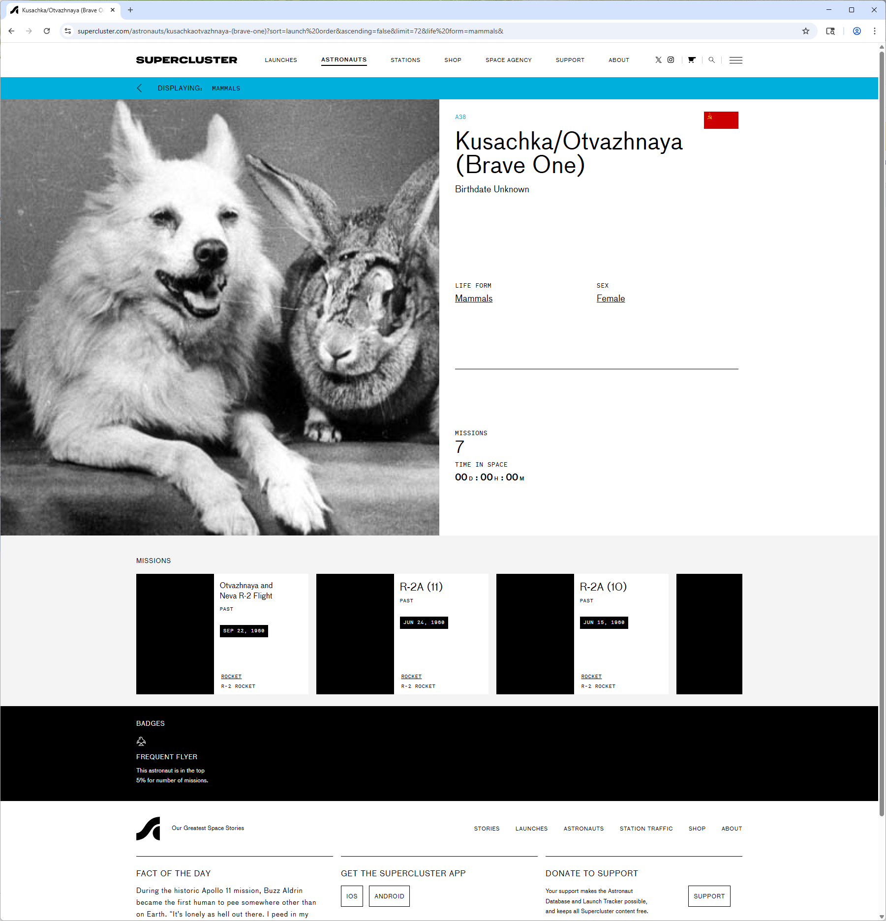 Screenshot 2025-11-23 174922.png