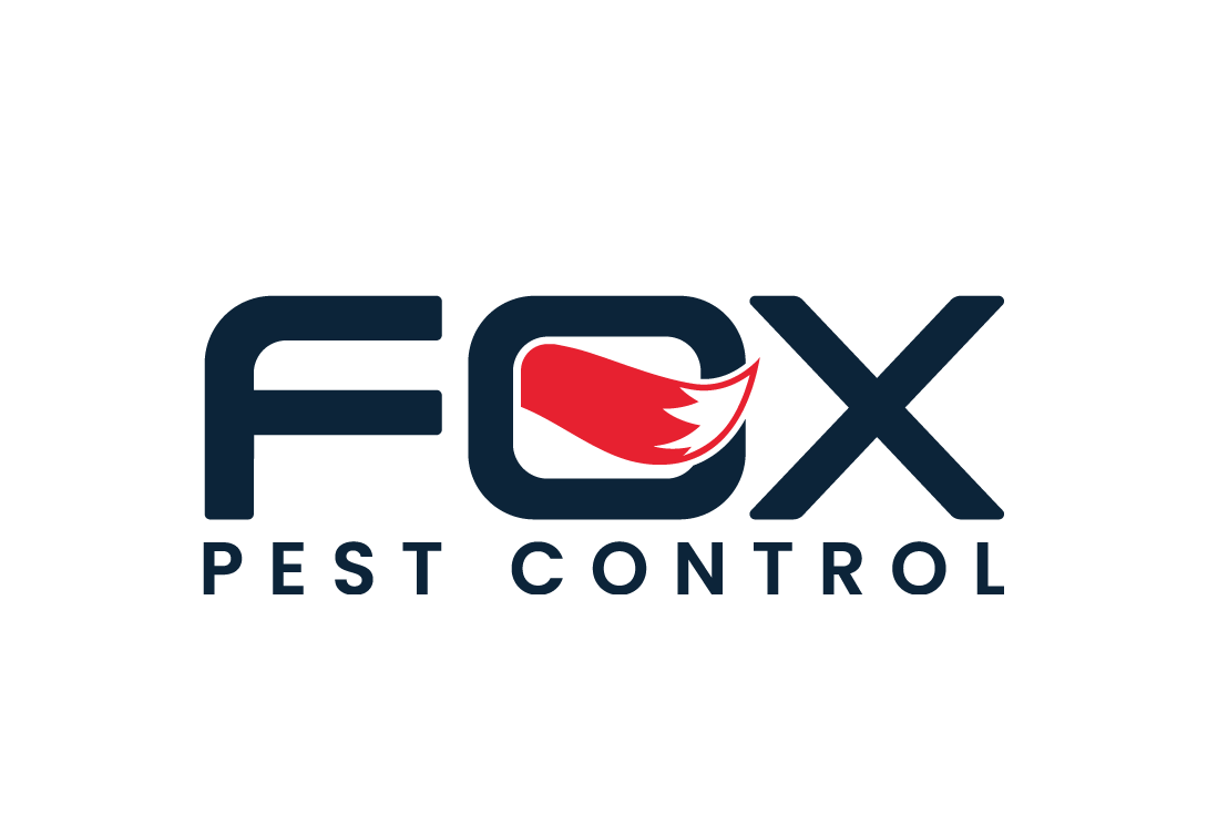 FOX_LOGO_2.png