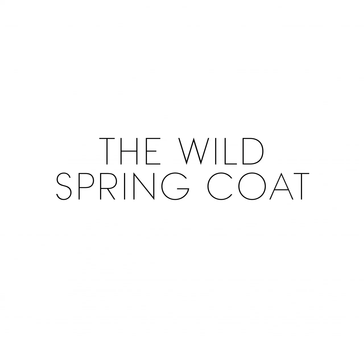 the wild spring coat.jpg