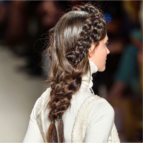 fish braid 4.jpg