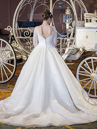 Cinderella limited edition Wedding dress 3.jpg
