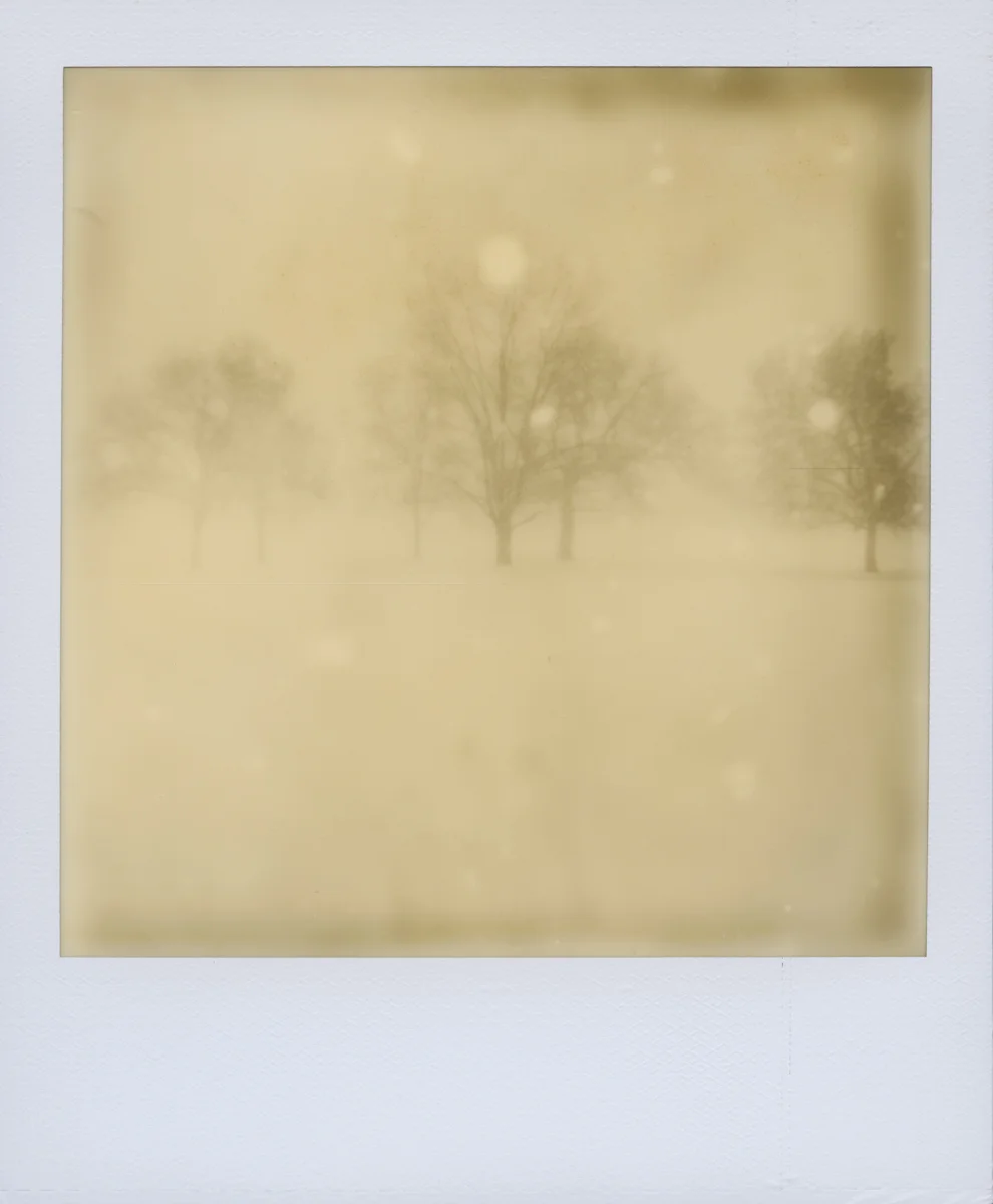 2013-10-09-Polaroid_scan_001001_2.jpg