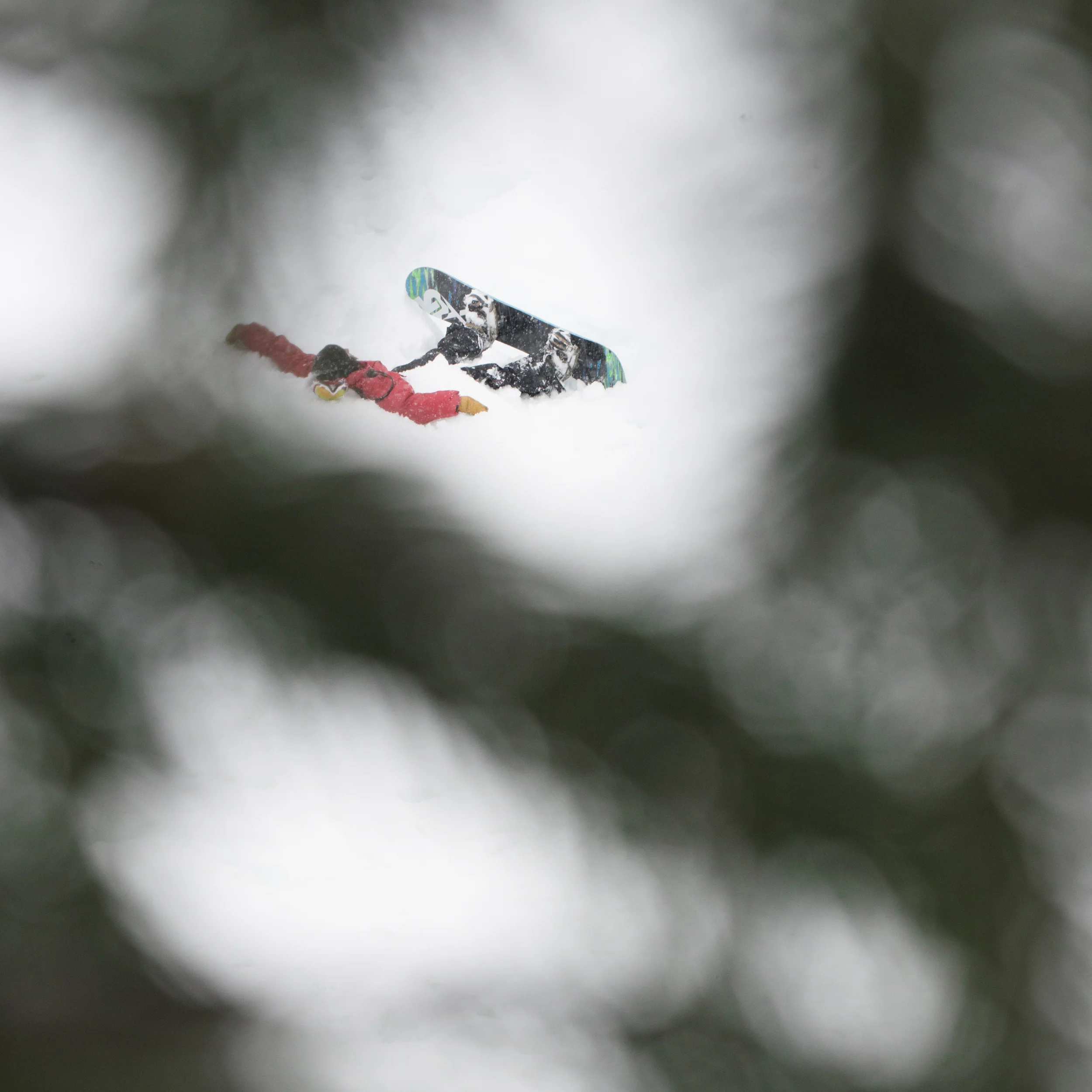 JAP-130316-3142.jpg