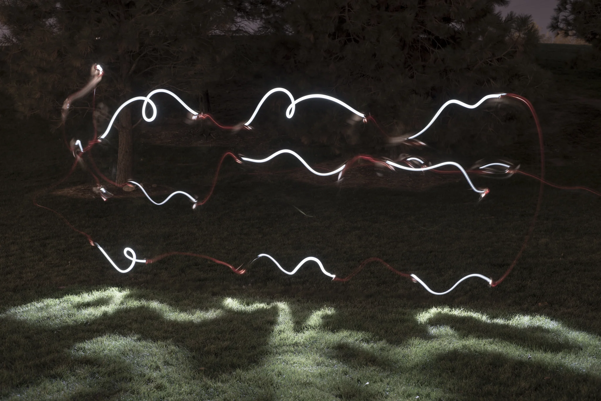 SHANTELL MARTIN 