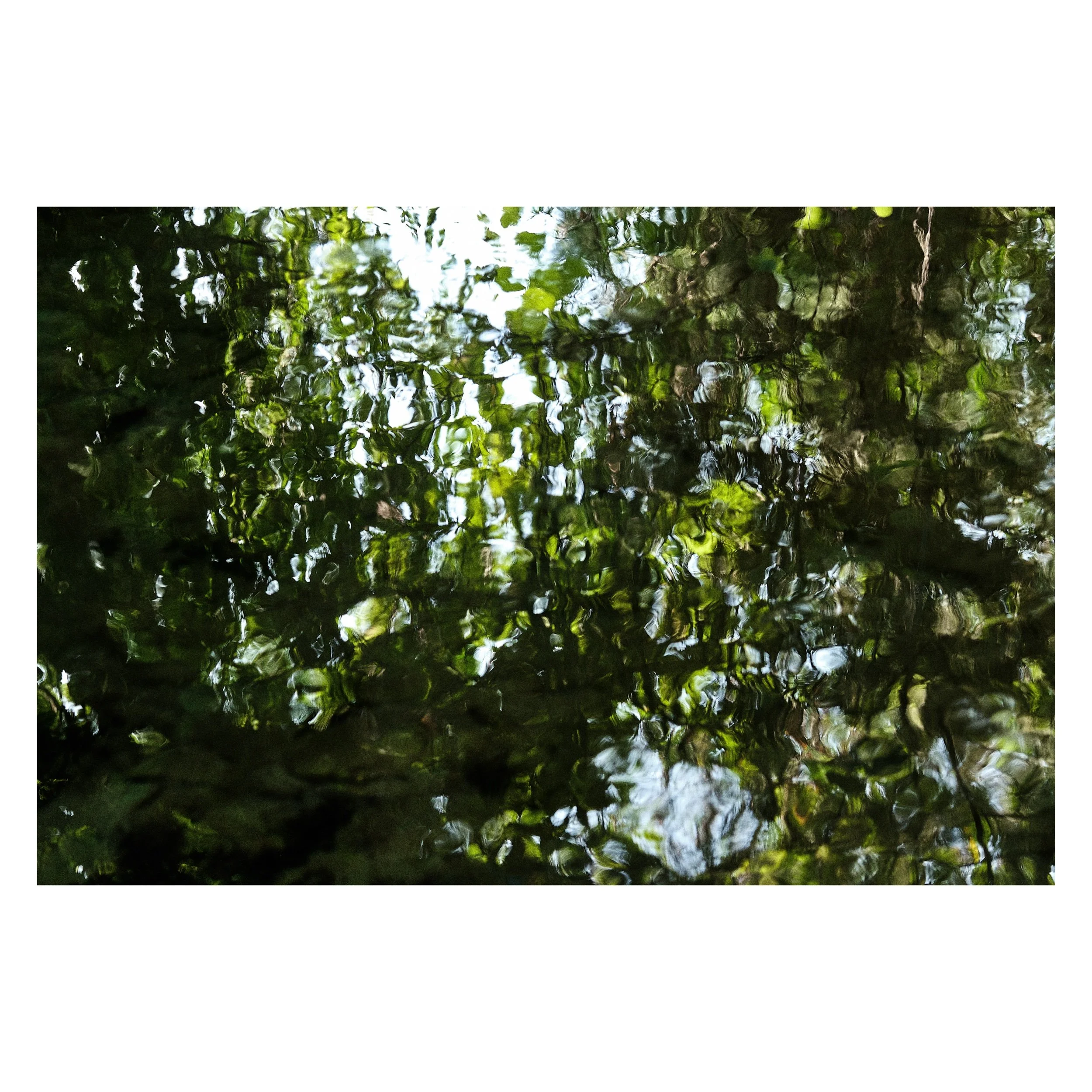 B639DA55-6617-4BA8-91B3-B116CE33C1AA.jpeg