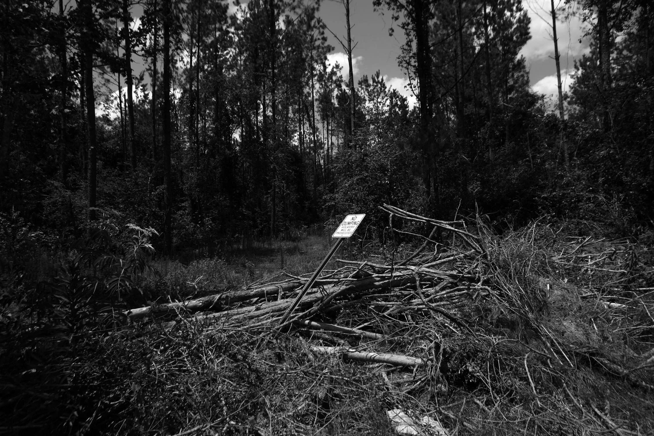  An old logging road, now overgrown, just off Huff Creek Road, is where James Byrd was beaten and chained to the back of a pick-up truck and dragged almost three miles. 