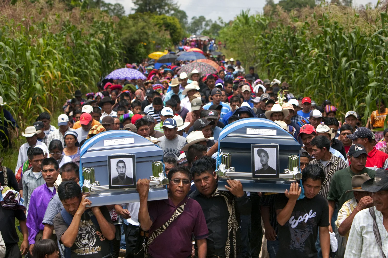 fallen052.JPG