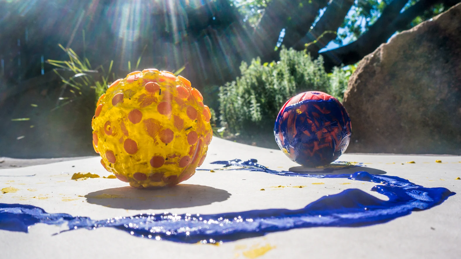 New Textbooks and Backyard Art