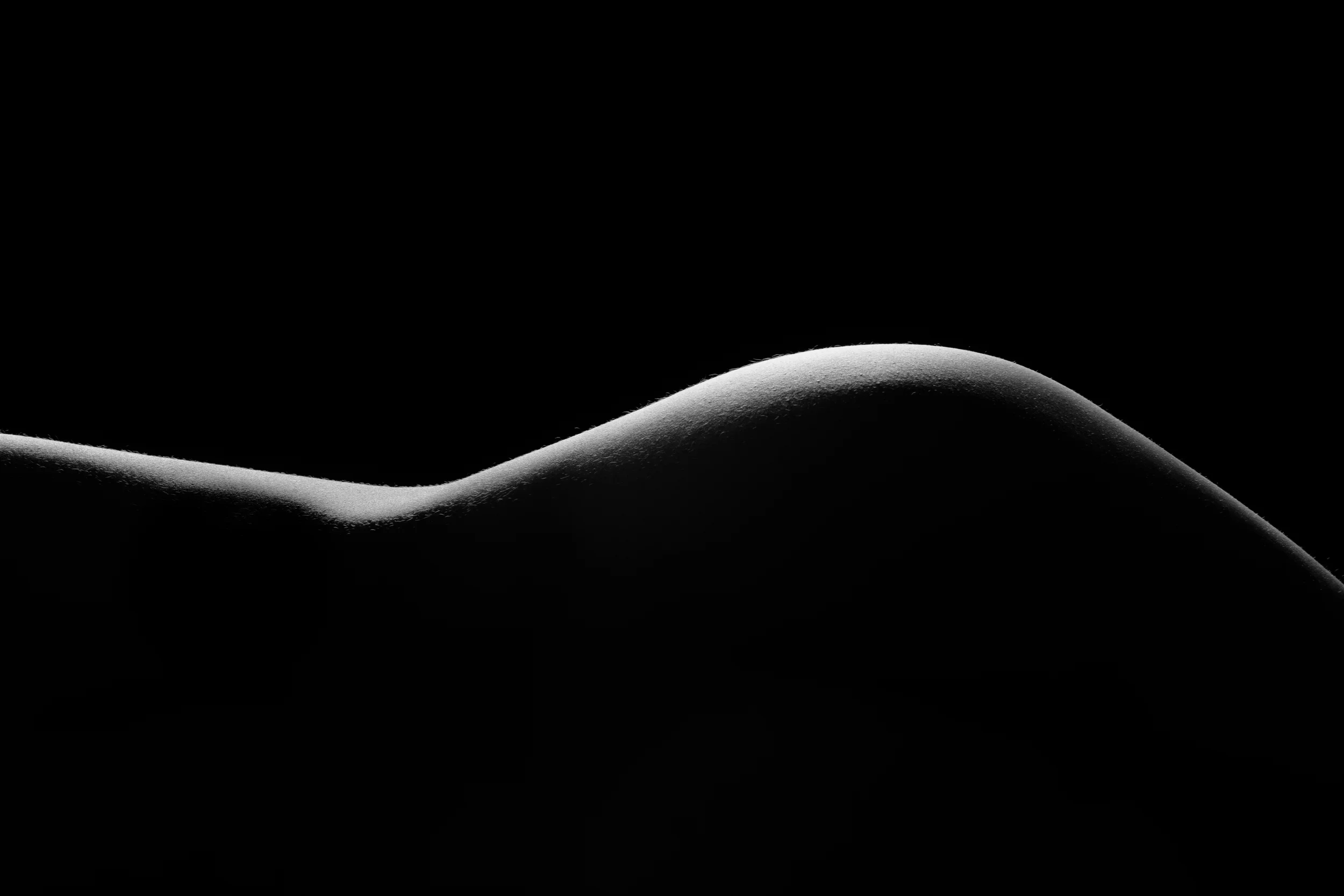 Title: Forme 02 Medium: Archival Pigment Print Dimension: 20 × 30 in (50.8 cm × 76.2 cm)