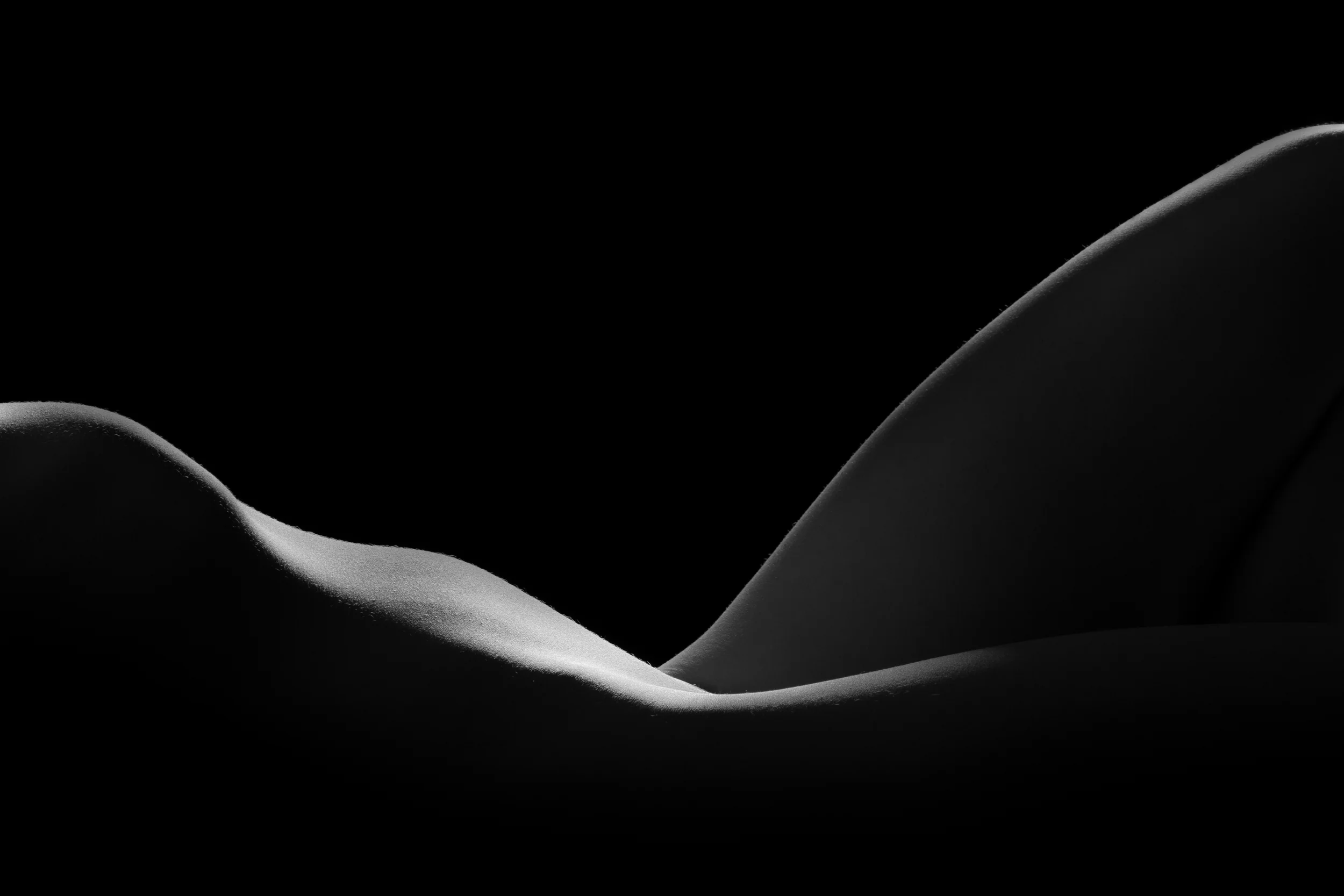 Title: Forme 01 Medium: Archival Pigment Print Dimension: 20 × 30 in (50.8 cm × 76.2 cm) Edition: 1 of 3, with 1 AP