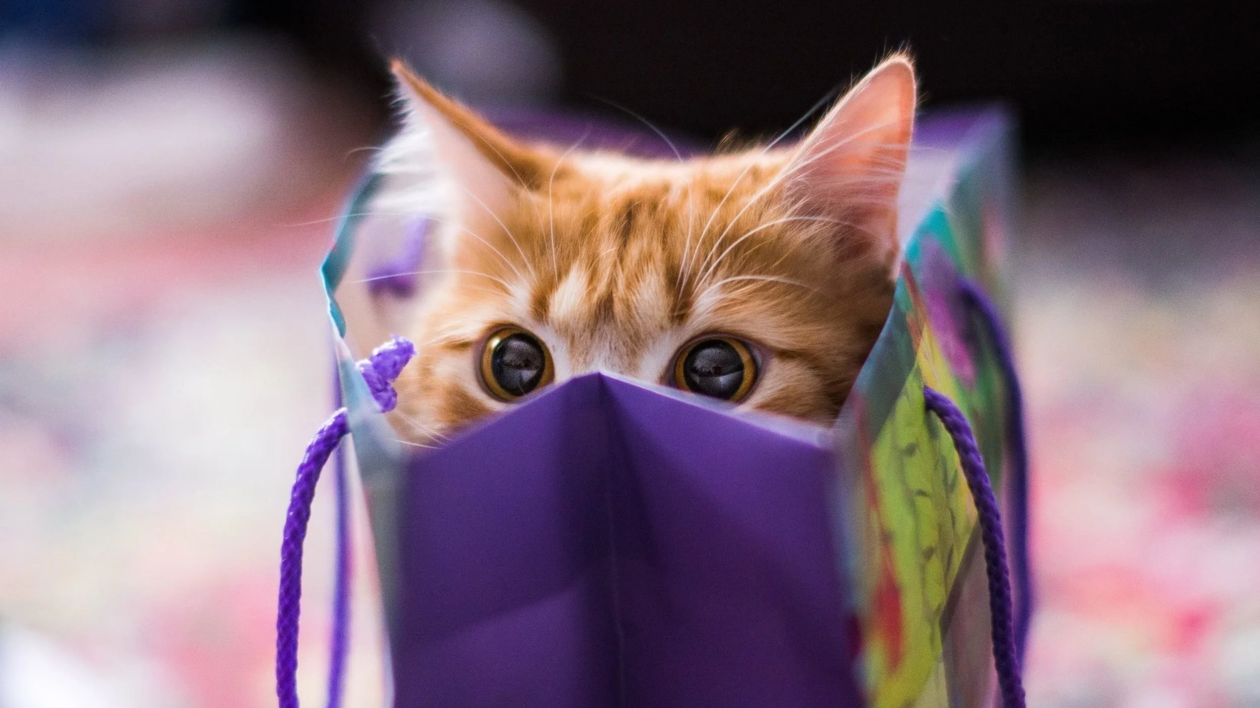 Another incredible gift you can give ...