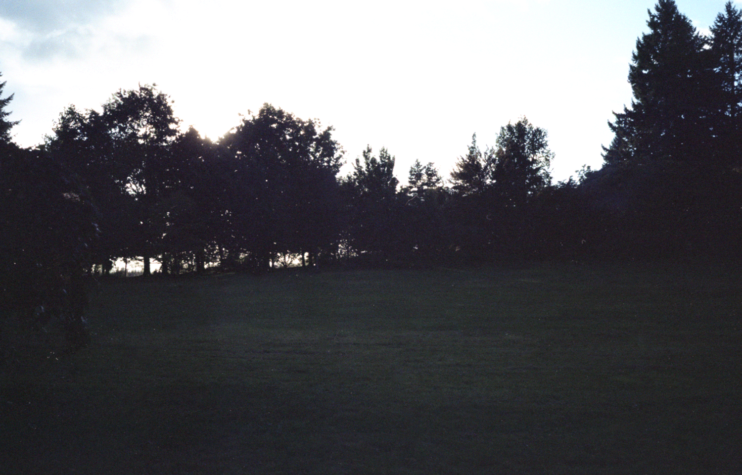img729.png