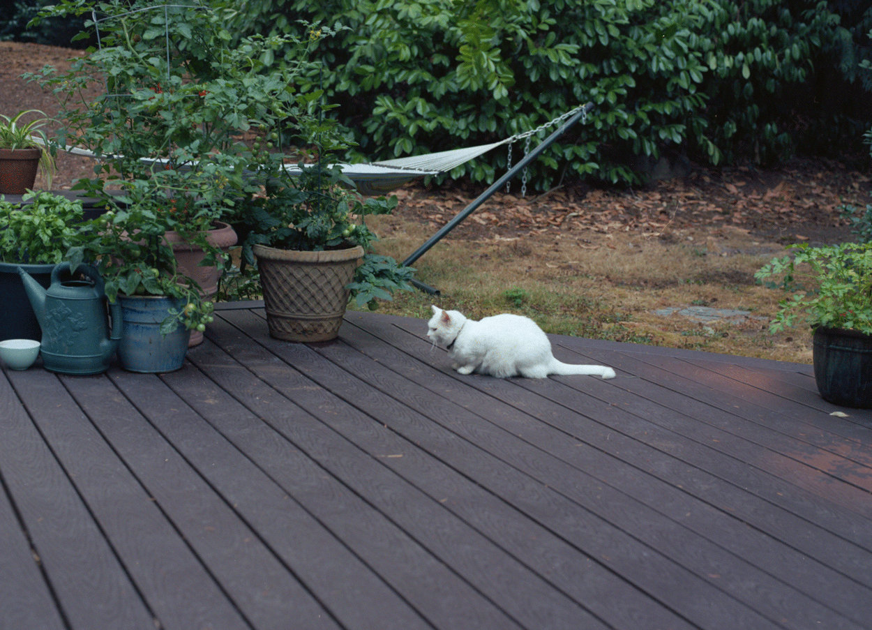 img562.png