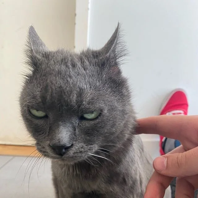 He&rsquo;s had enough, folks