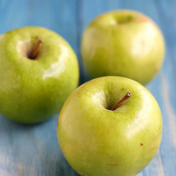 Ambrosia Restaurant & Bar Italian Cuisine Eugene Oregon