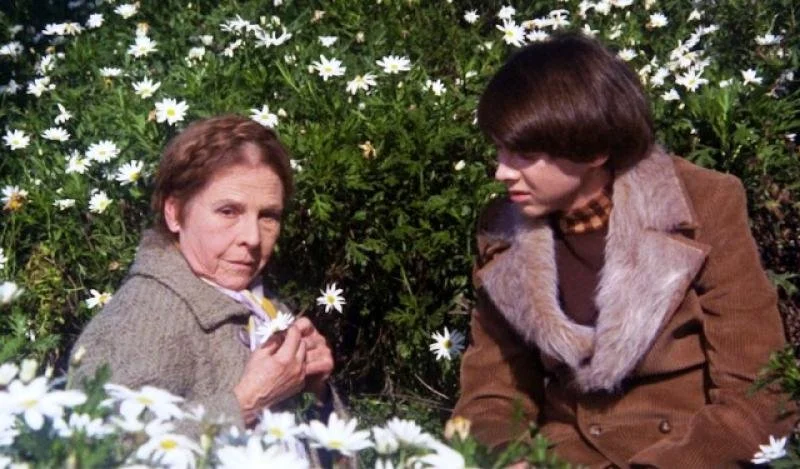 Harold and Maude (Hal Ashby, USA, 1971)