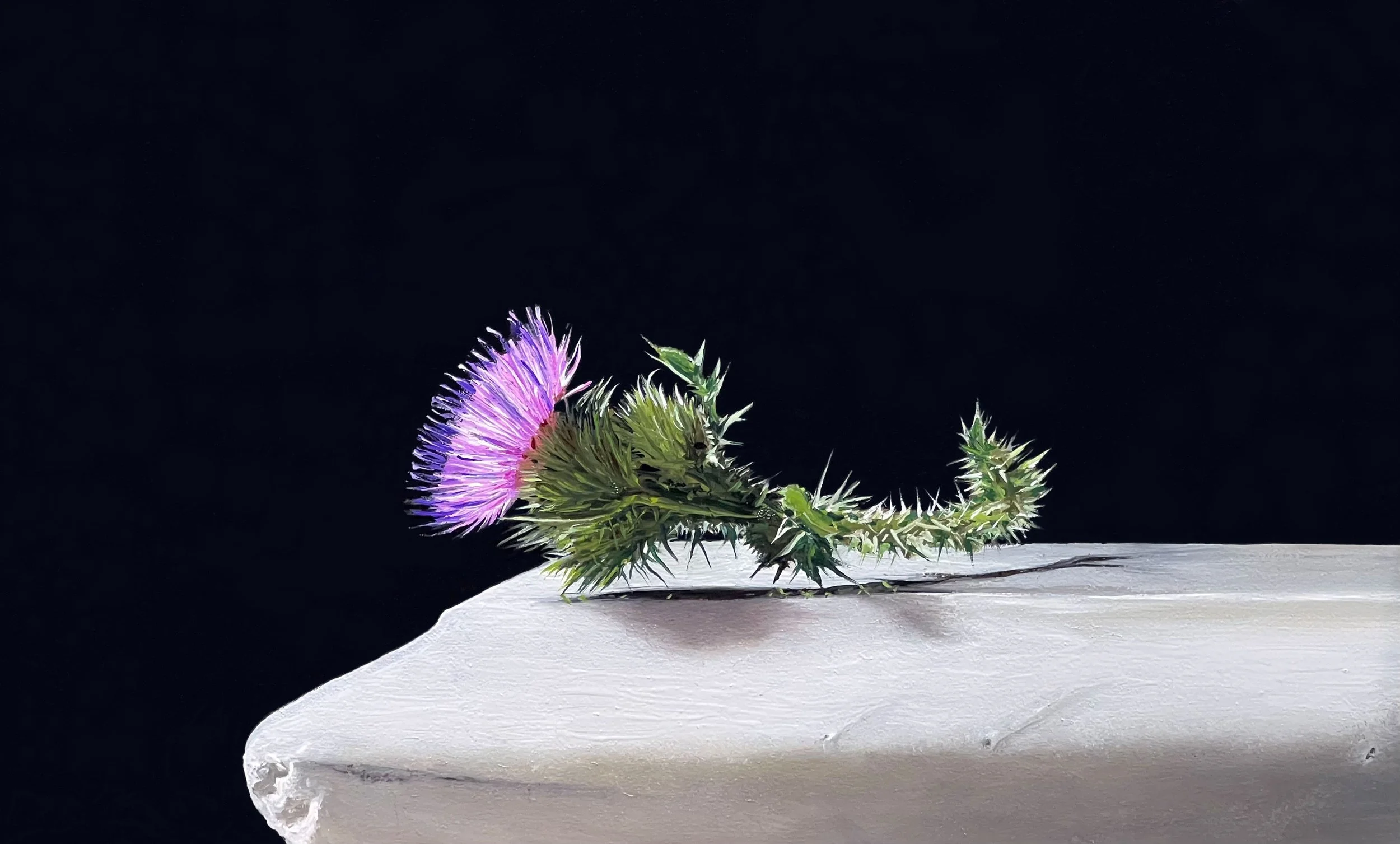 Cirsium-thistle.jpg