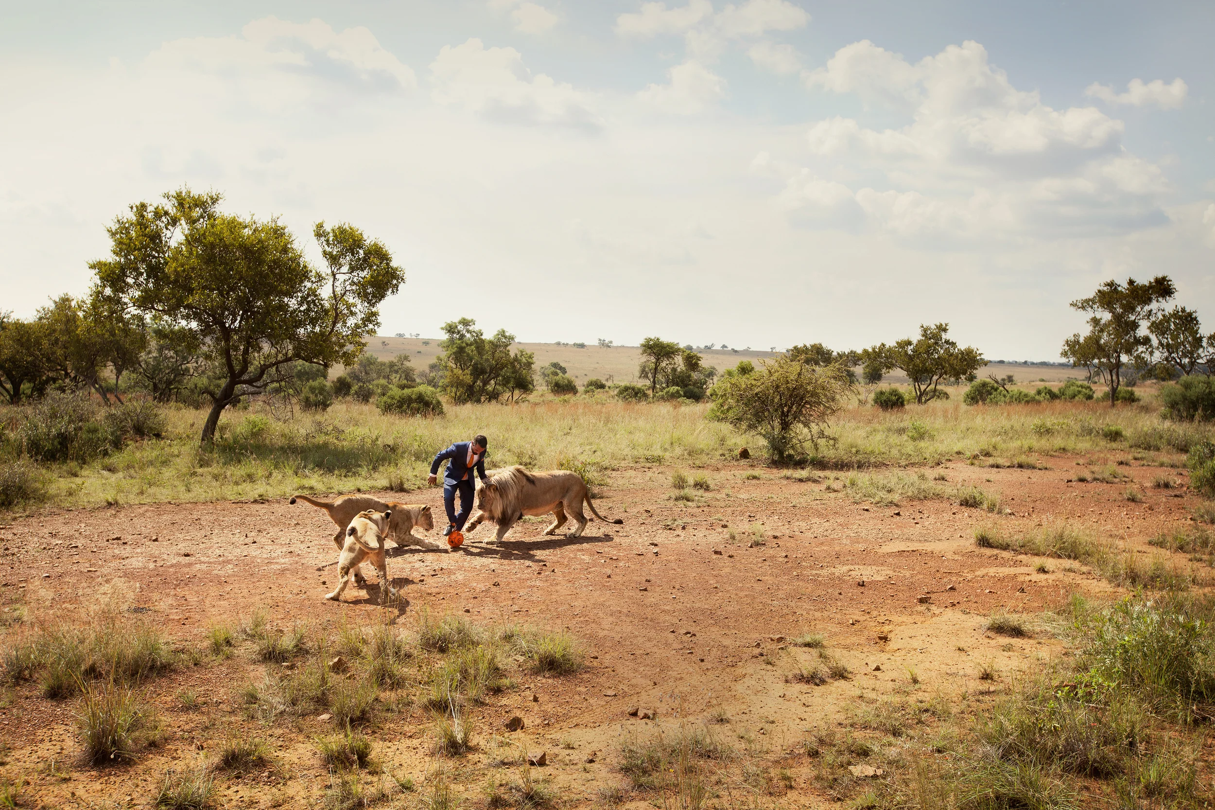 This single shot won 2nd prize in non professional category Nature/Wildlife at PX3, Prix de la Photography Paris. PX3 was created by founders of International Photography Awards in 2008, since then Px3 has become one of the most important European Photography Competitions. This single shot won a honorable mention at IPA. Int'l photography awards 2014, category Editorial/Personality.