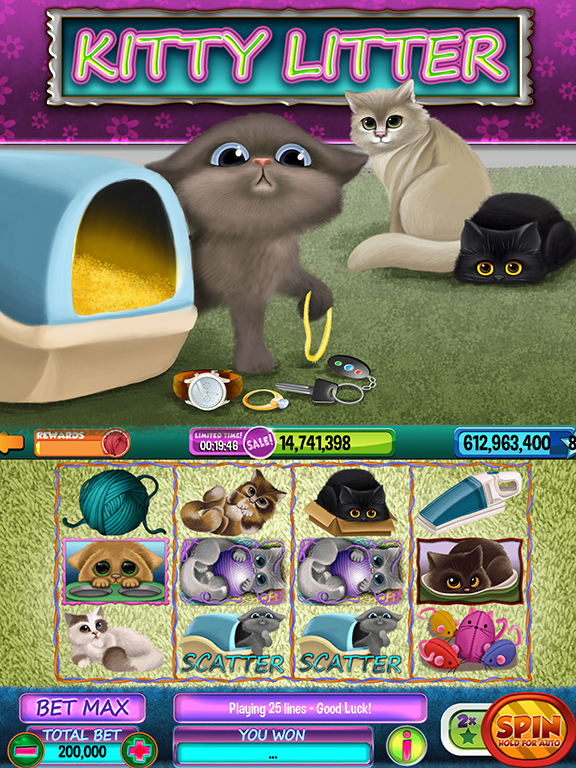 KittyLitter.jpg