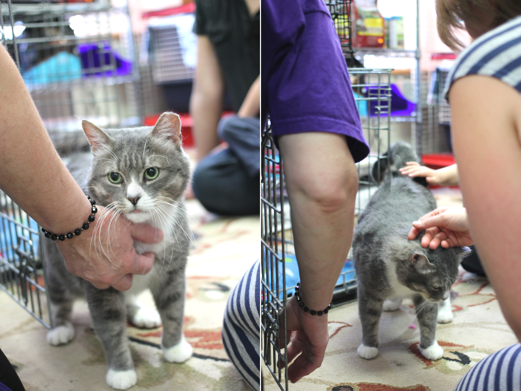 And it's Markie's turn to come out for some lovin'!