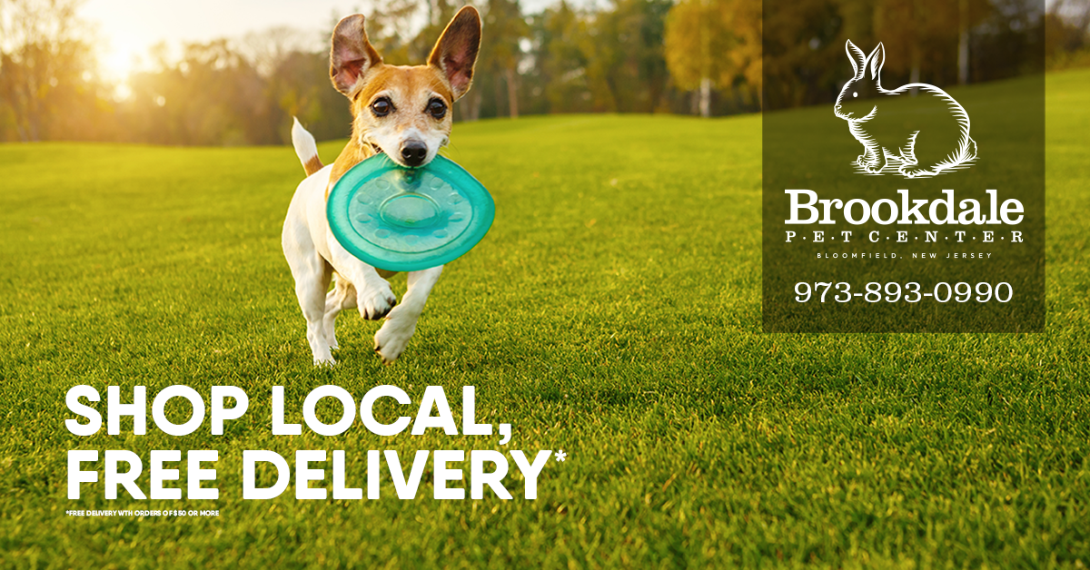 local-delivery-ad.png