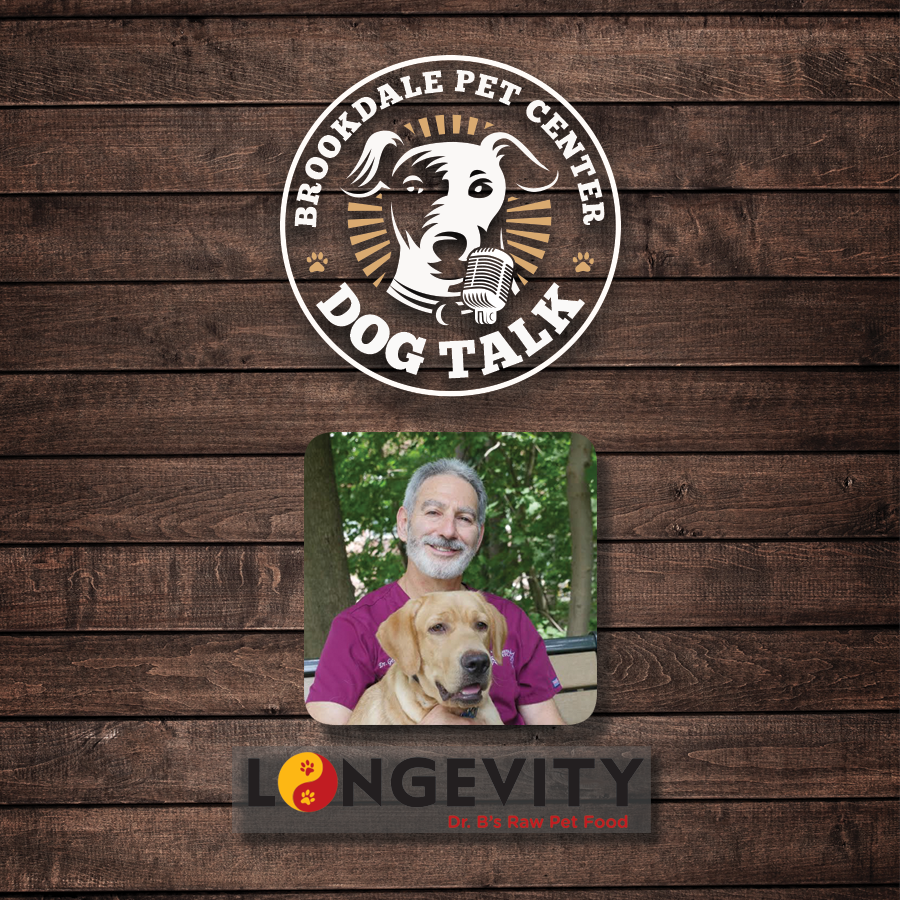 dog-talk-02-faces.png