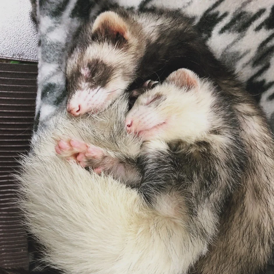 appa+and+momo.jpg