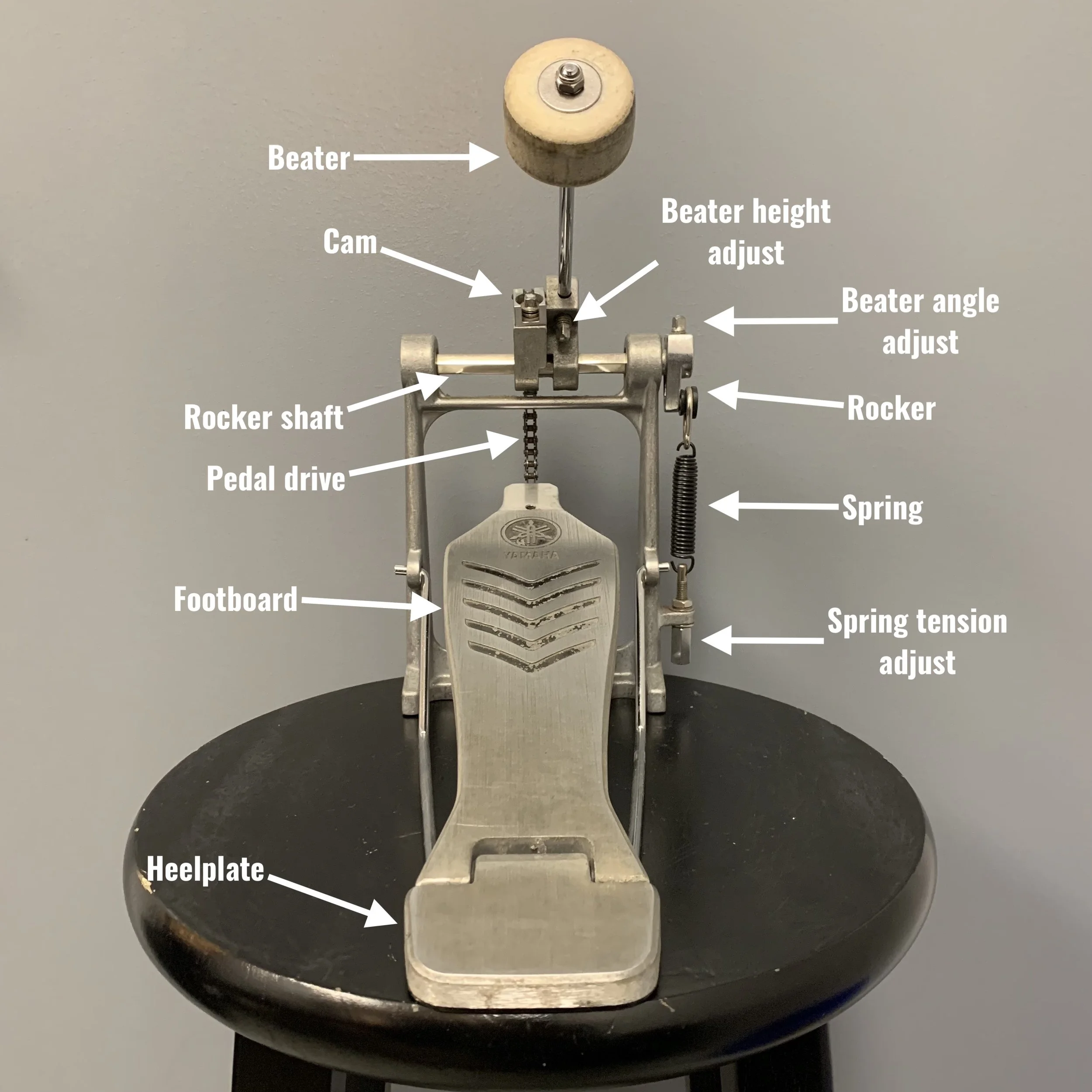 Private Drum Lessons in Boston, MA Boston Drum Lessons The Anatomy