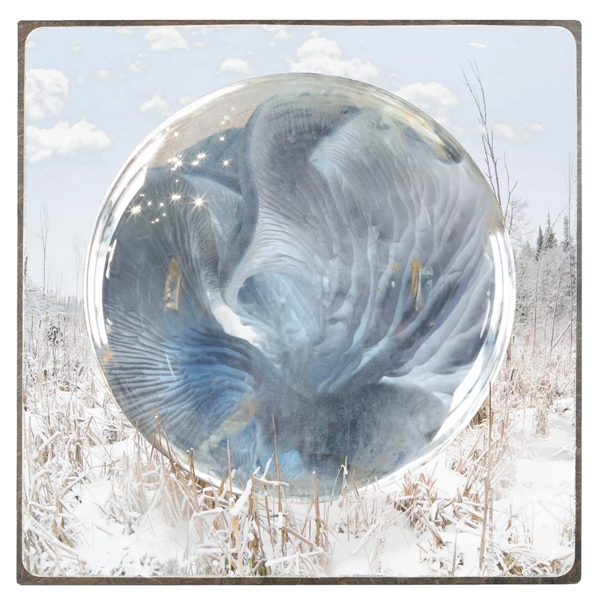 The Portal_framed.jpg