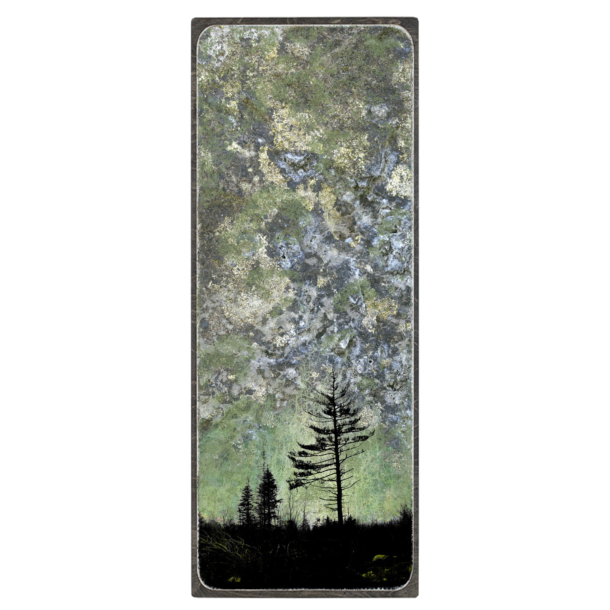 ATR_24x60_framed_sq.jpg