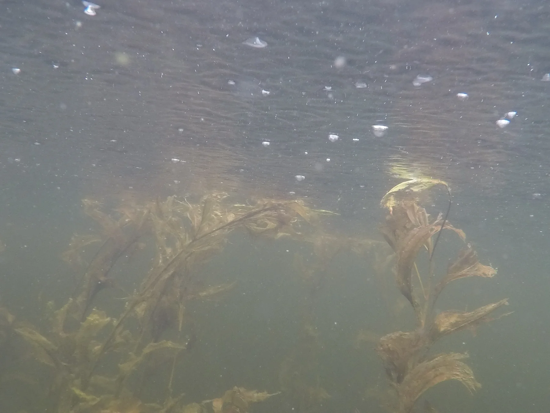 DCIM\100GOPRO\GOPR1452.JPG