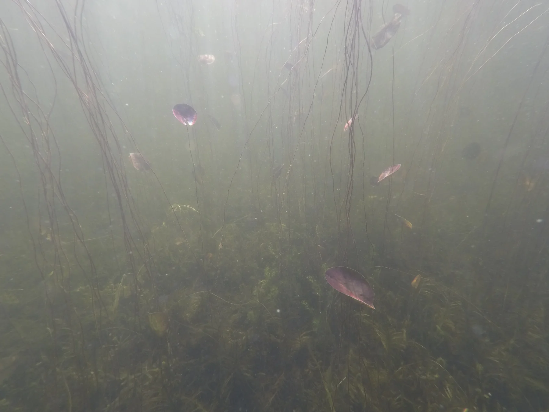 DCIM\100GOPRO\GOPR1377.JPG