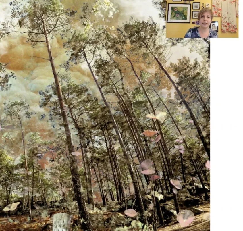 Episode 6: Sneak peek at where my work is headed now