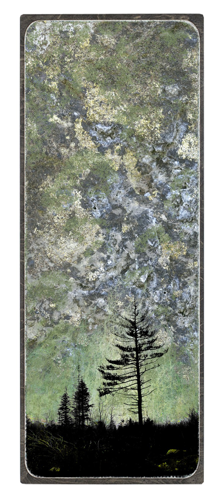 ATR_24x60_framed.jpg