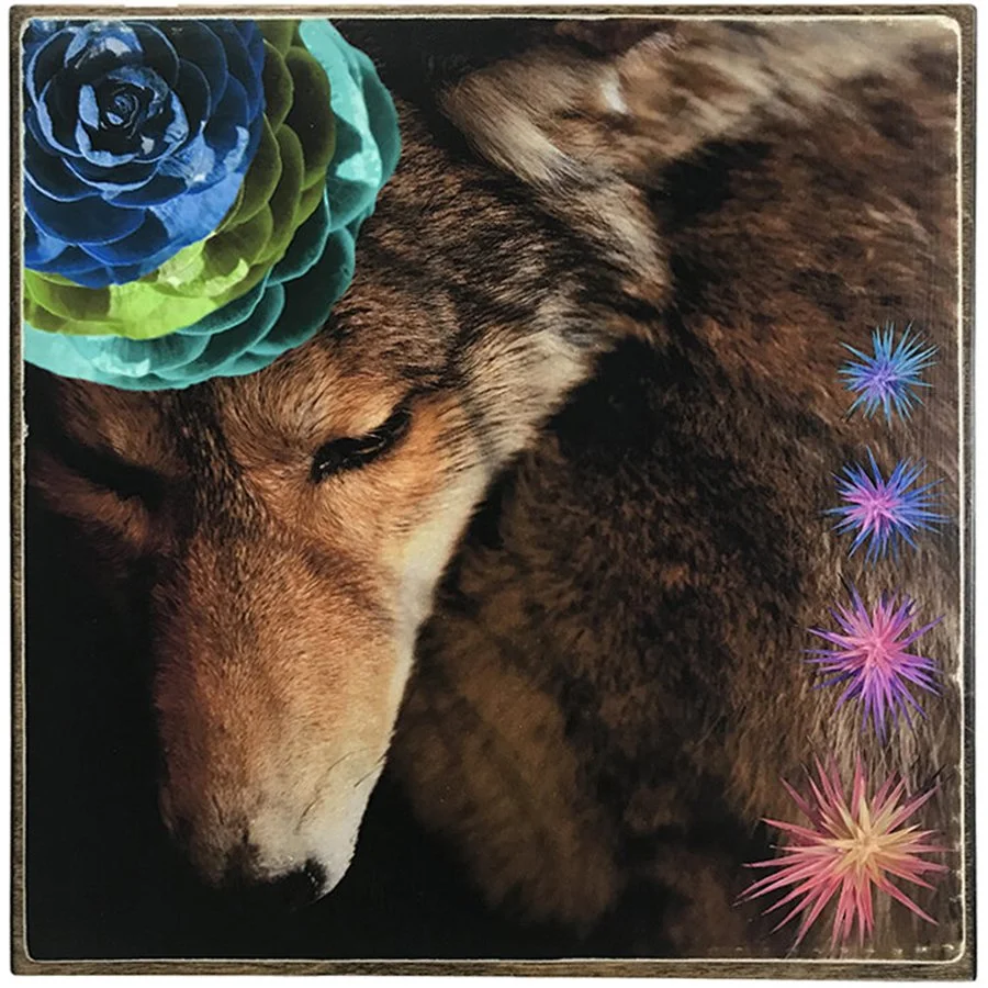 TheWolf_1.jpg
