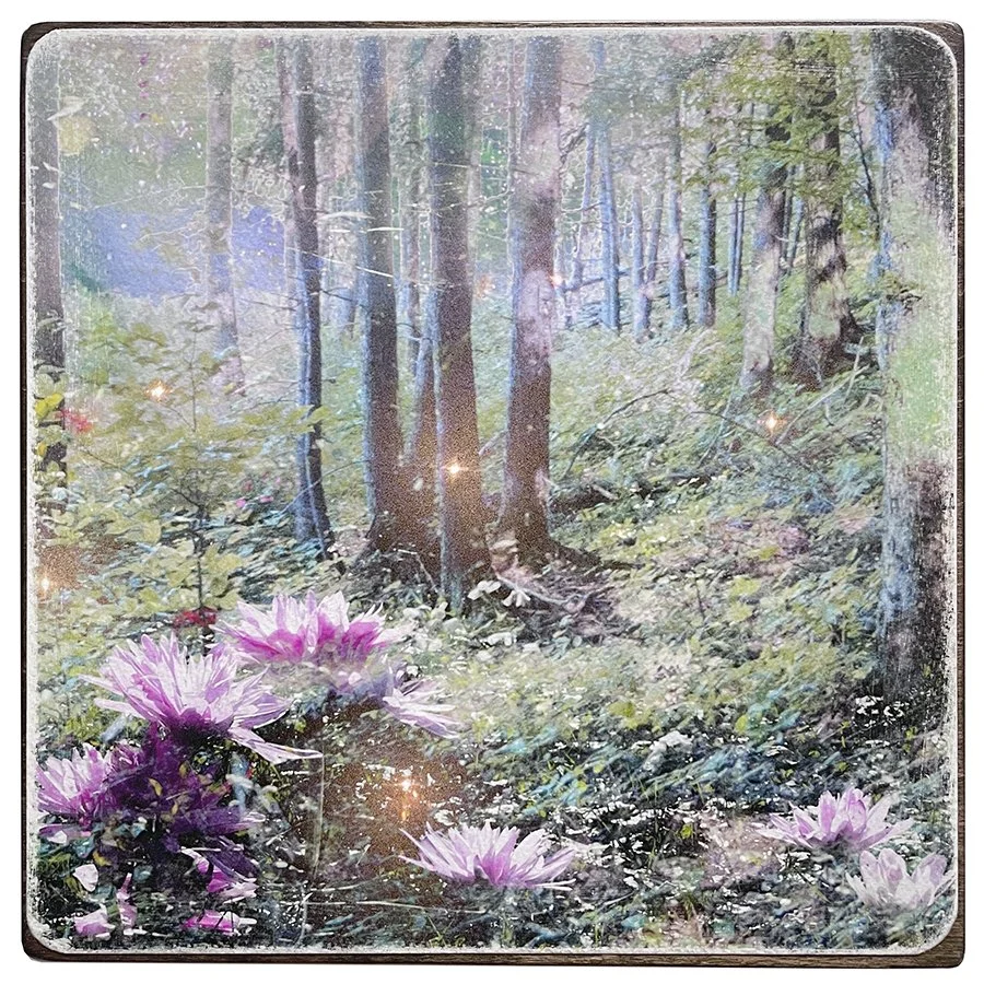 Glimpse of Paradise #6