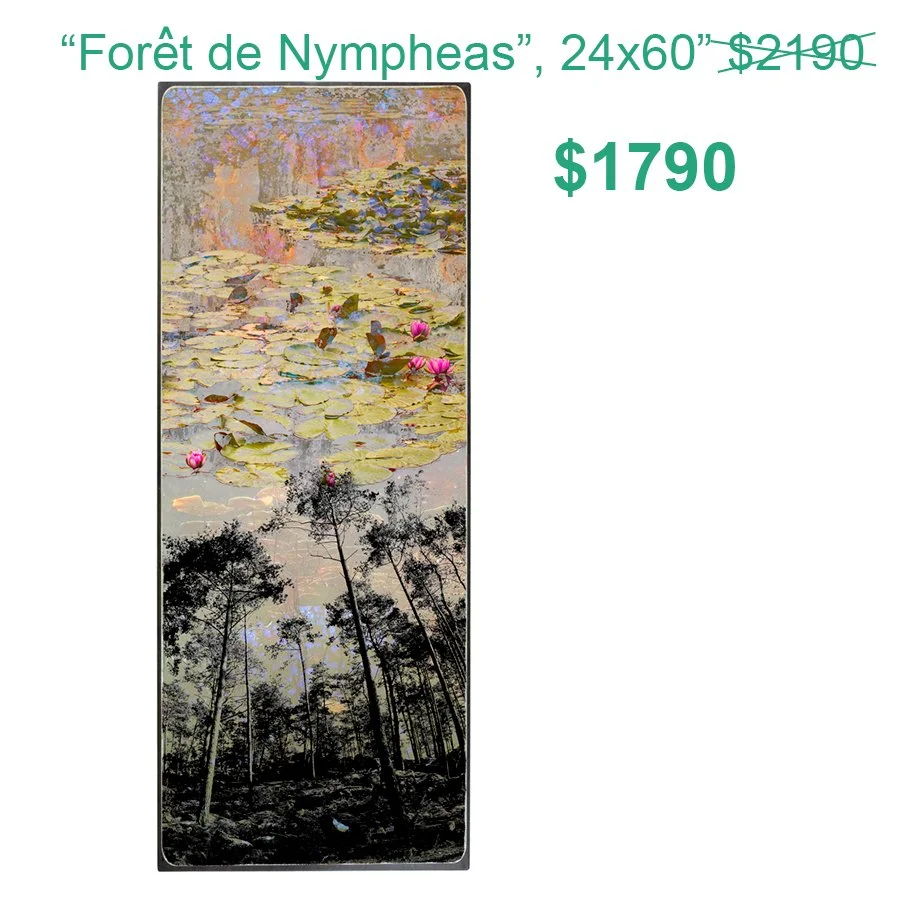 Foret2.jpg