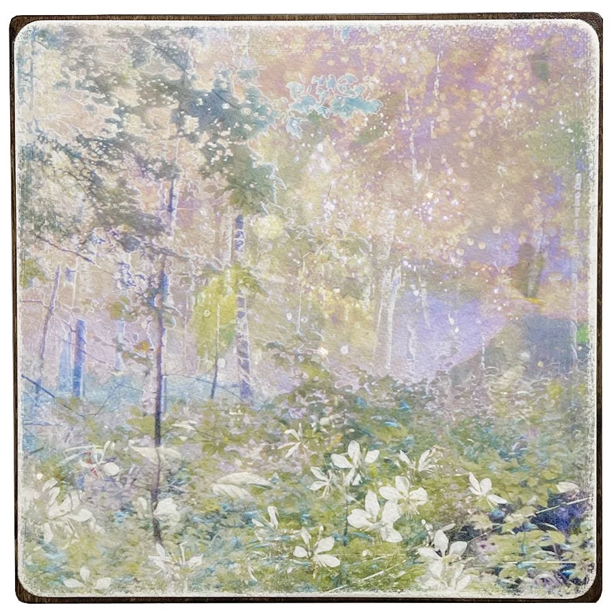 Glimpse of Paradise #4