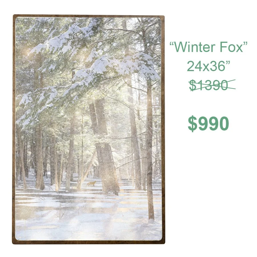 WinterFox.jpg