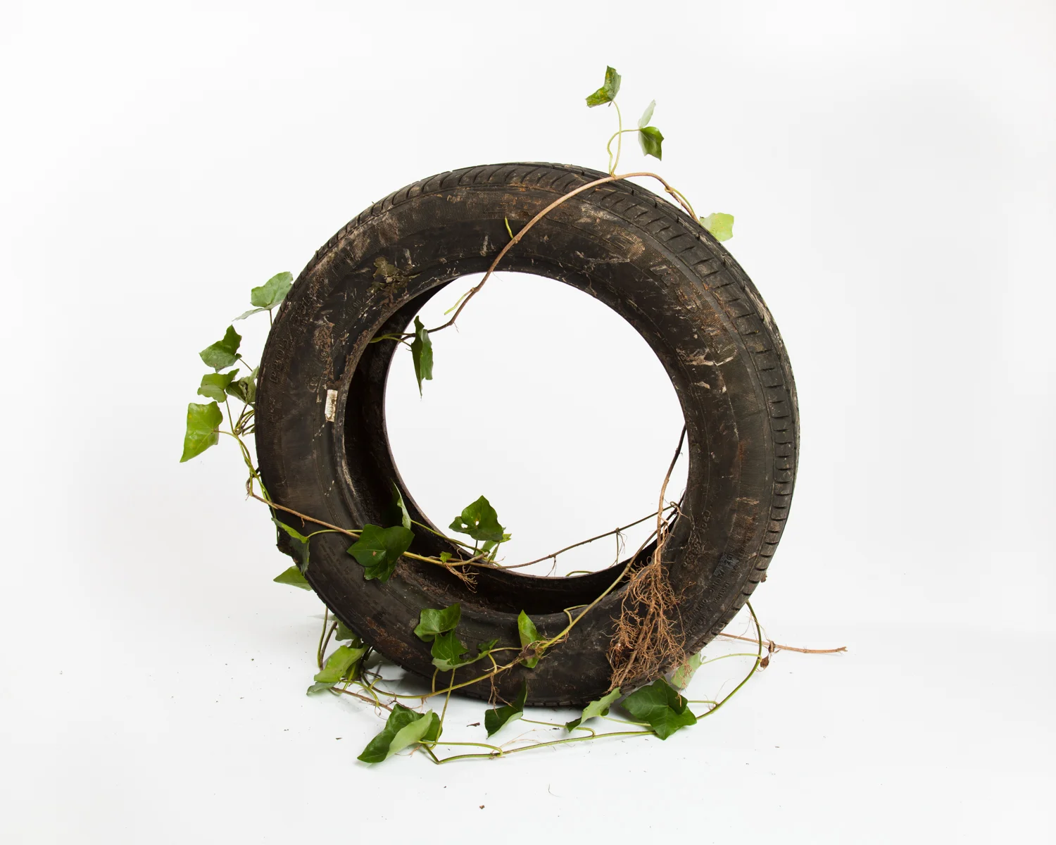 Seven Tires at Miller Creek, 2014 Miller Creek is a two-mile stream near our home. It originates in an ecologically intact area of Forest Park and empties into the Willamette River within close proximity to several industrial Superfund sites. In the fall of 2013, a week after walking Miller Creek and encountering these seven tires, Nolan Calisch and I returned to pull them from the creek bed. Working with a mechanic we were able to date the tires and discover that their ages span the duration of sixty years. Our continued investigation into the history and future of these tires is based on our own interest in thinking about the psychology of waste and land use in our culture. Using the example of Miller Creek as a conceptual springboard, we have developed a participatory workshop that encourages others to use art as an investigatory tool to address social issues in their immediate environment. Seven Tires at Miller Creek was published in Orion Magazine's March/April 2014 issue. Read our interview on Orion's blog here .