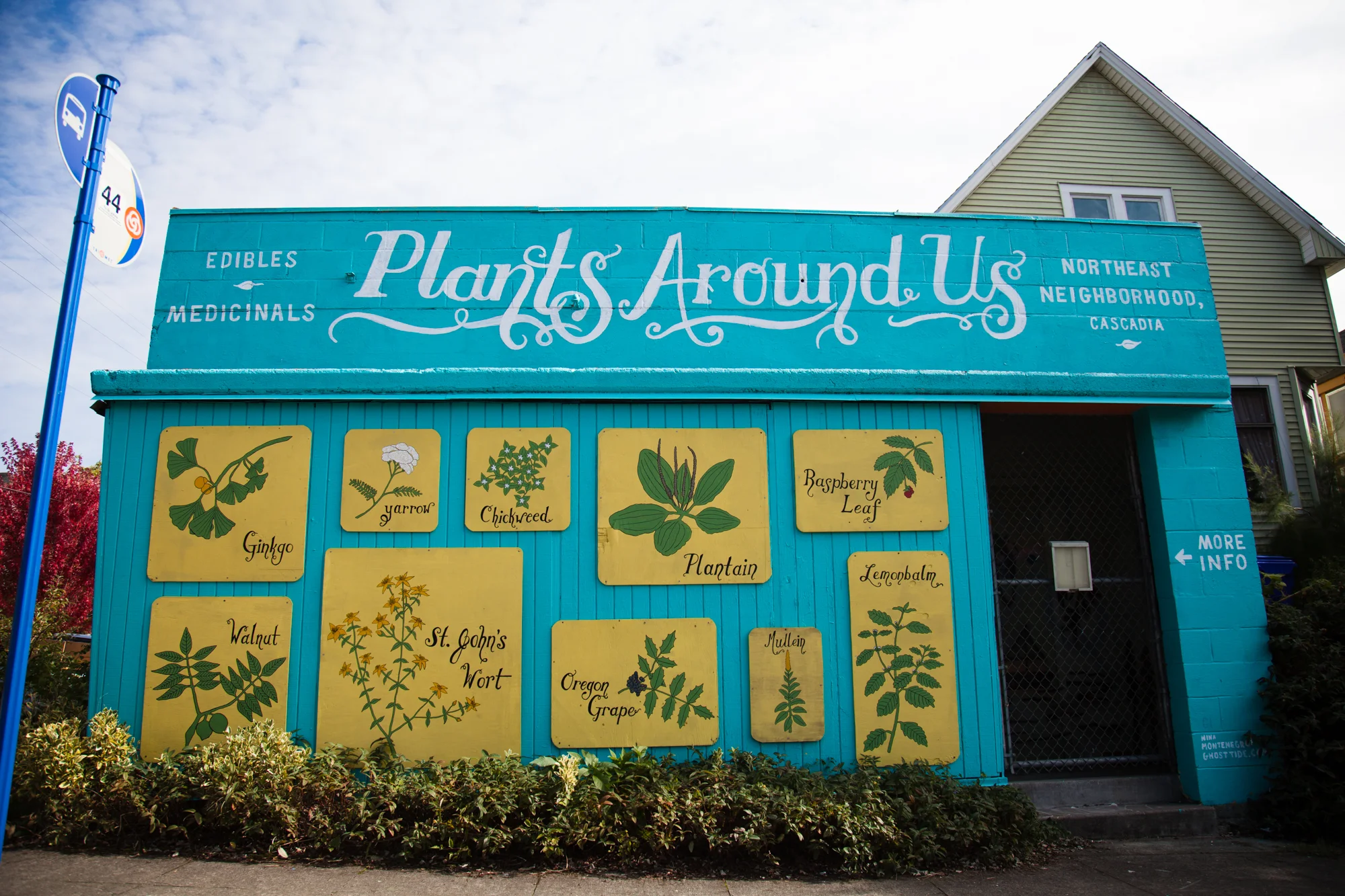 Plants Around Us Mural, NE Portland, 2013 Localized guide to the edible and medicinal plants in the neighborhood. Ten panels illustrate plants within a few blocks of the mural. A box affixed to the building contains pamphlets with more information about the various uses and benefits of the plants as well as additional resources for urban foraging. My intention was to foster a relationship between people of the neighborhood and their often overlooked plant neighbors. The mural encourages an awareness of the plentiful food and medicine that is all around us, outside of the conventional food and medical systems. This benchmark mural could be replicated in other communities to encourage localized food systems, natural medicine, foraging, and a deeper appreciation and understanding of plants and their gifts. 