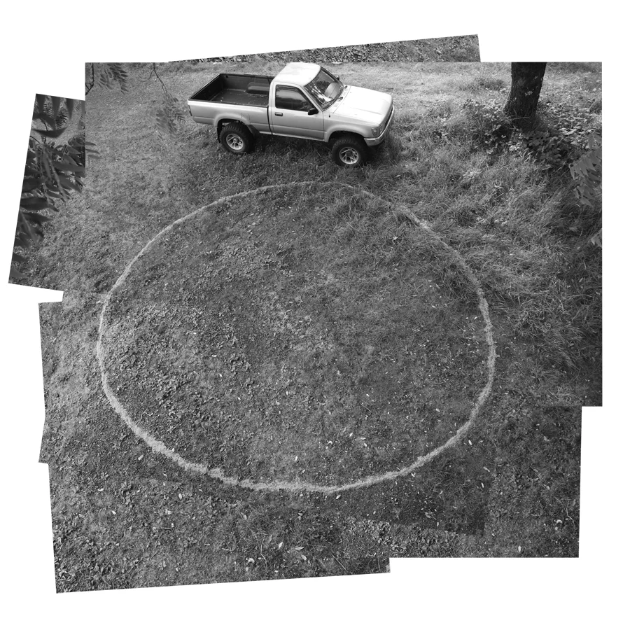 Tree Circumference II Sawdust ring, near Forest Park, Portland, OR