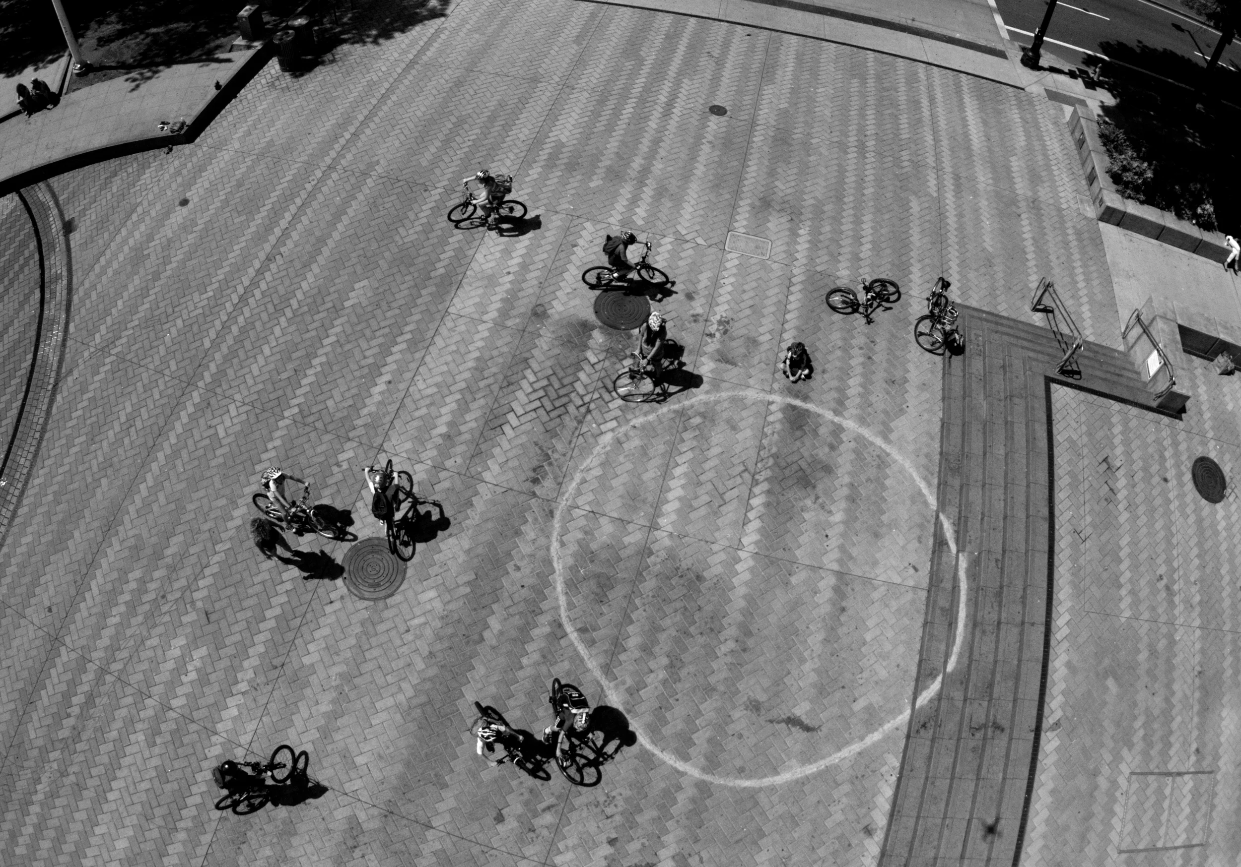 Tree Circumference III Sawdust Ring, Tom McCall Waterfront Park, Portland, OR Collaborative photo with Kurtis Hough