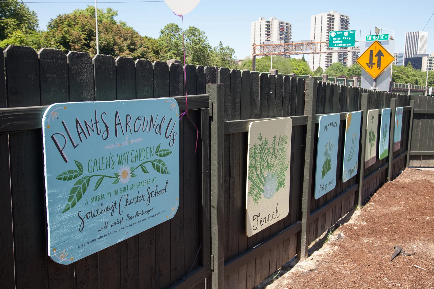 Plants Around Us: Galen's Way Garden, National College of Natural Medicine. Portland, 2015 In Spring of 2015, I received a RACC grant to be artist-in-residence at Southwest Charter School, a place-based K-8 in Portland. I worked with the 5th and 6th graders to create a mural about medicinal plants in conjunction with their botany unit. We visited the National College of Natural Medicine, where the students learned about the plants from three naturopaths. The students then spent time in the garden at NCNM sketching the plants. These sketches were eventually translated in painting by the students onto large panels which were installed at the College. I designed a postcard book featuring each painting from the mural for distribution at both schools. 